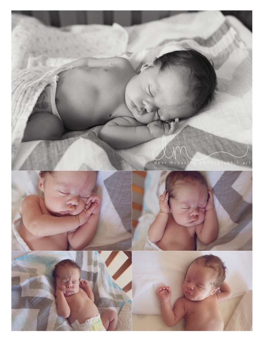 bloem-newborns