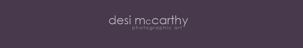 desimccarthy.co.za logo